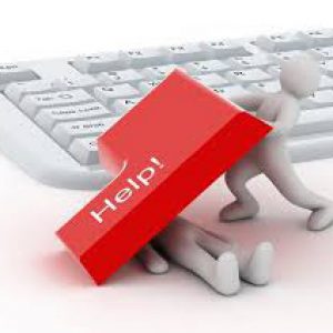 Ebiz Strategist.com 
